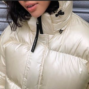 Super puff shorty in high gloss birch aritzia tna xs puffer winter jacket